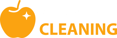 Xclean Demo1